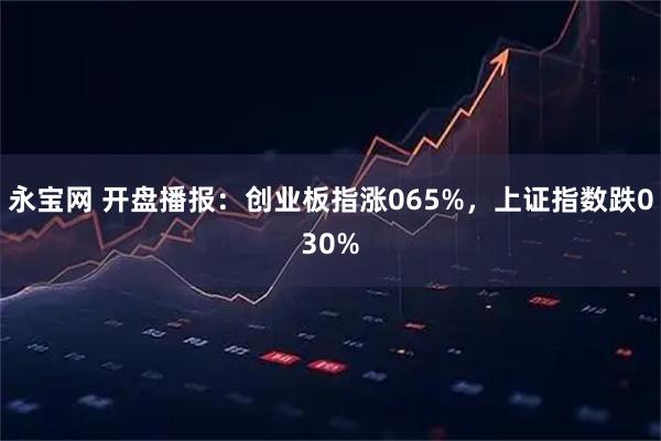 永宝网 开盘播报：创业板指涨065%，上证指数跌030%